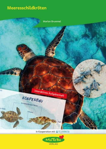 Marlen Brummel: Meeresschildkröten