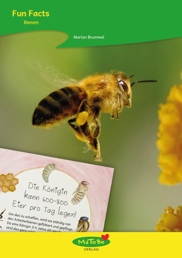 Marlen Brummel: Fun Facts - Bienen
