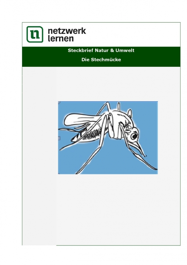 Netzwerk Lernen: Steckbrief Natur & Umwelt - Die Stechmücke